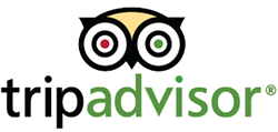 trip-advisor